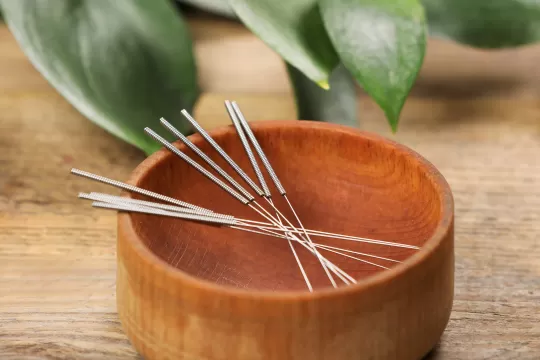 A small wooden bowl containing acupuncture needles sits on a table. There is a green plant behind it.