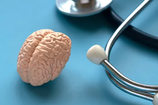 Brain