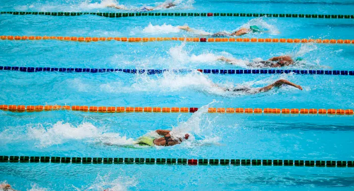 people swimming in a pool