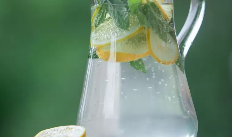 A jug of water with lemon slices and mint leaves inside.