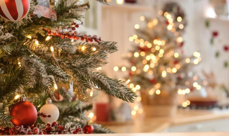 A close up of a holiday tree with lights and ornaments.